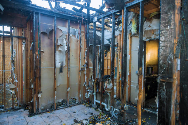 Professional Fire Damage Removal technician working in DeWitt, MI